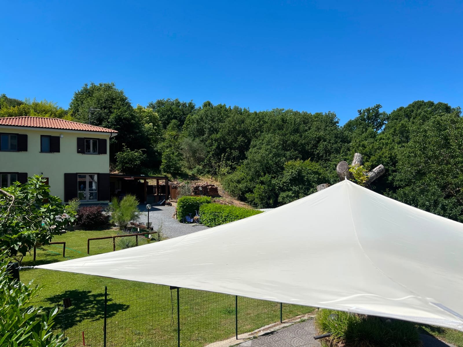 teloni Viterbo